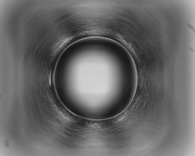 X0000095130062200712071317