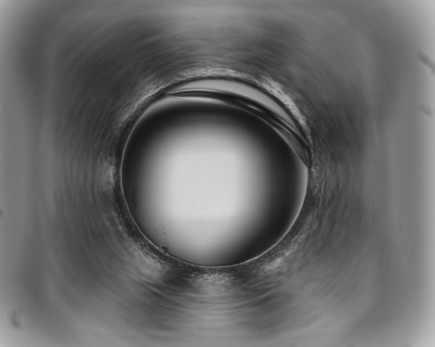 X0000095130063200712071317