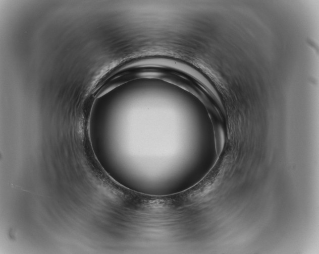 X0000095130064200712071317