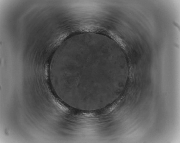 X0000095130065200712071317