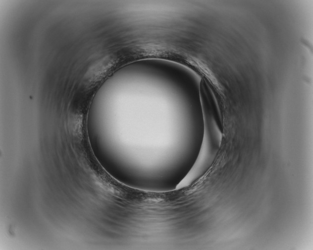 X0000095130066200712071317