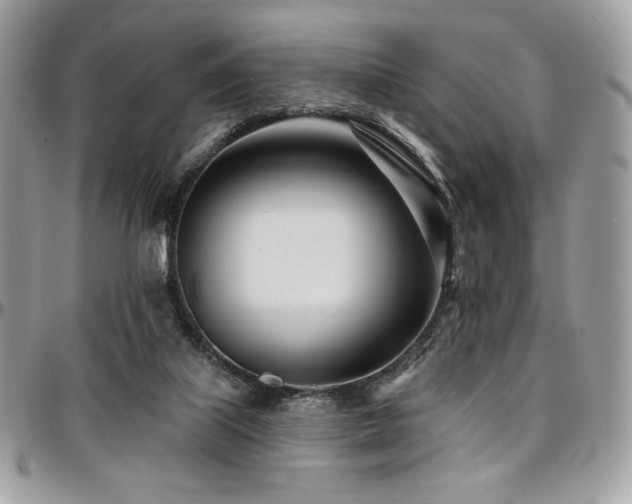 X0000095130067200712071317