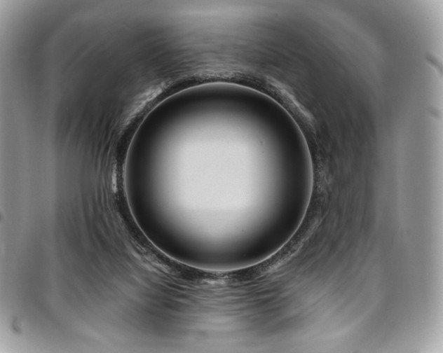 X0000095130068200712071317