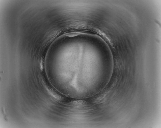 X0000095130069200712071317