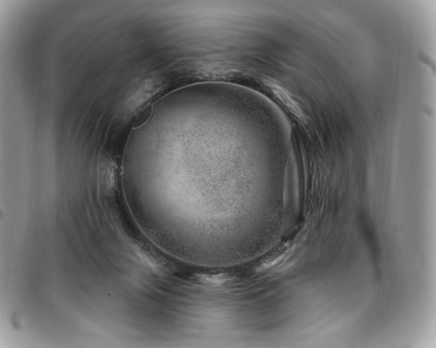 X0000095130071200712071317