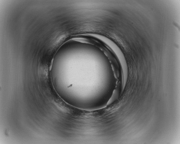 X0000095130072200712071317