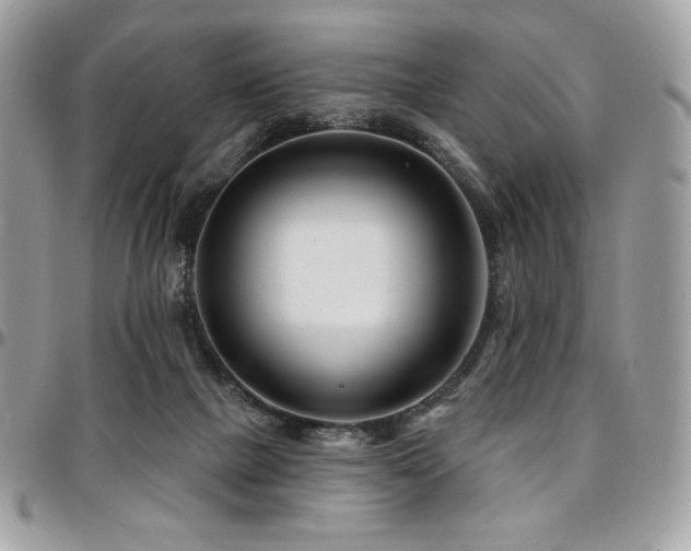 X0000095130073200712071317