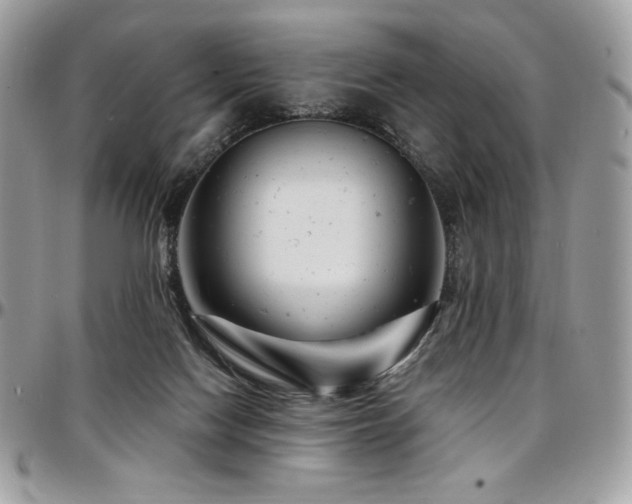 X0000095130074200712071317