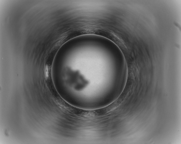 X0000095130075200712071317