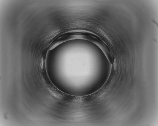 X0000095130076200712071317