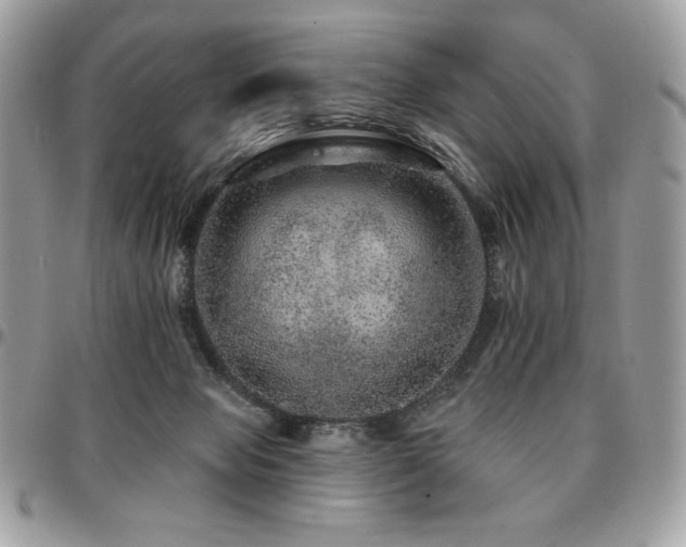 X0000095130077200712071317