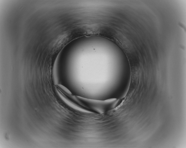 X0000095130078200712071317