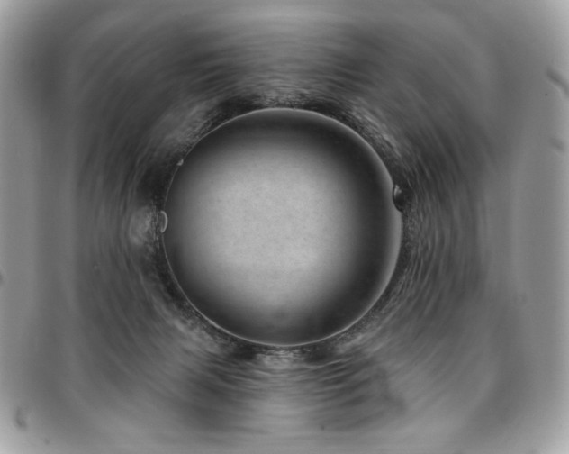 X0000095130079200712071317