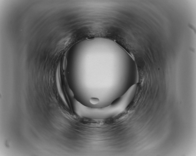 X0000095130080200712071317