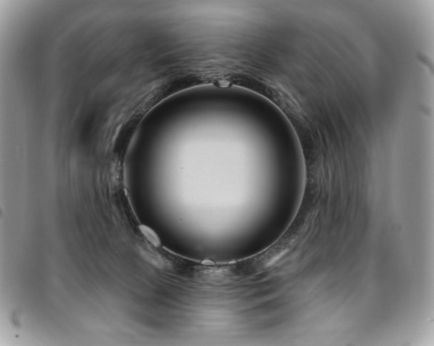 X0000095130081200712071317