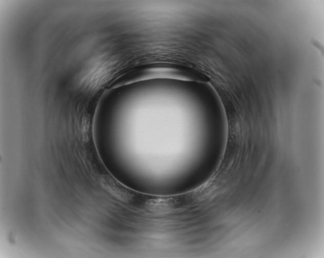 X0000095130082200712071317