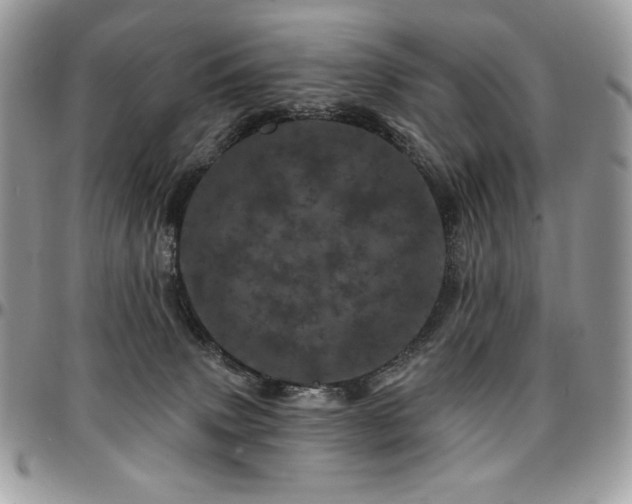 X0000095130083200712071317