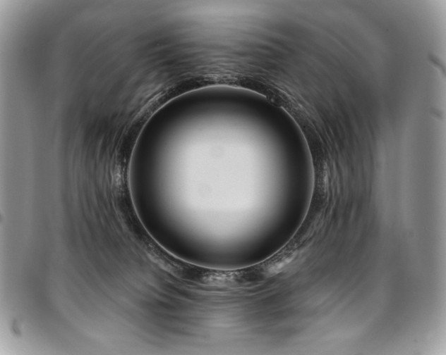 X0000095130084200712071317