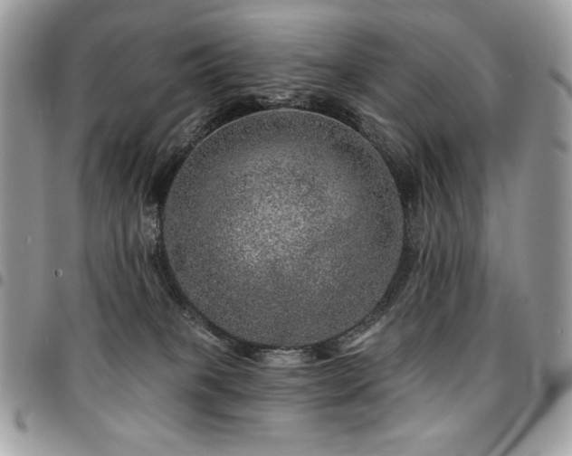 X0000095130085200712071317