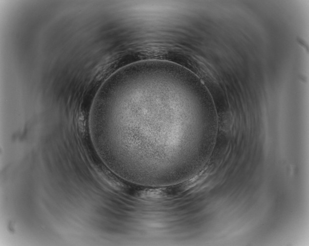 X0000095130086200712071317