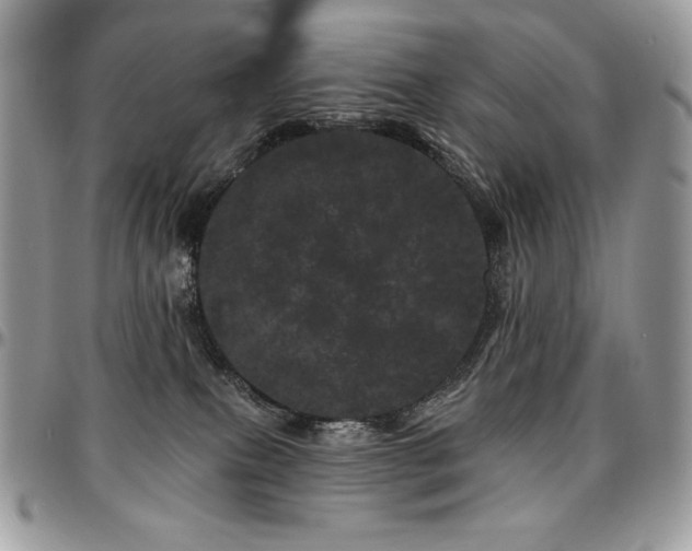 X0000095130087200712071317