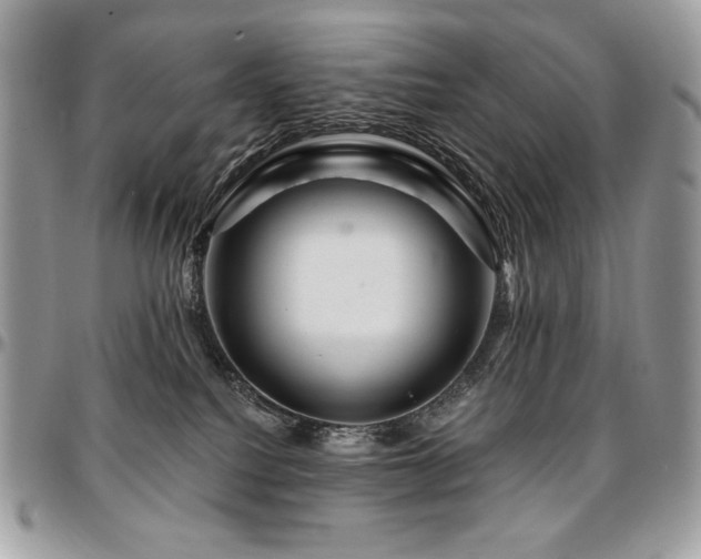 X0000095130088200712071317