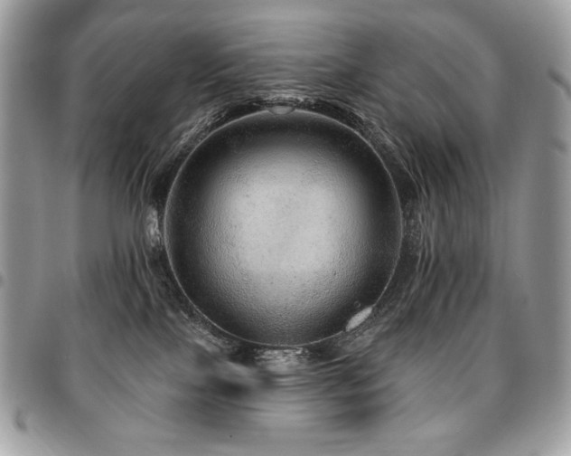 X0000095130089200712071318