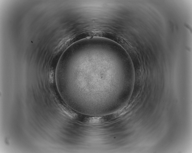 X0000095130090200712071318