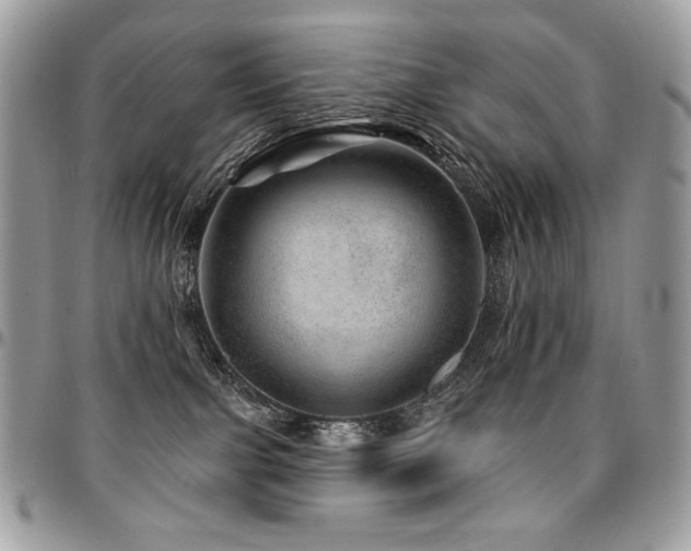 X0000095130091200712071318