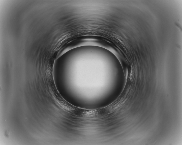 X0000095130092200712071318