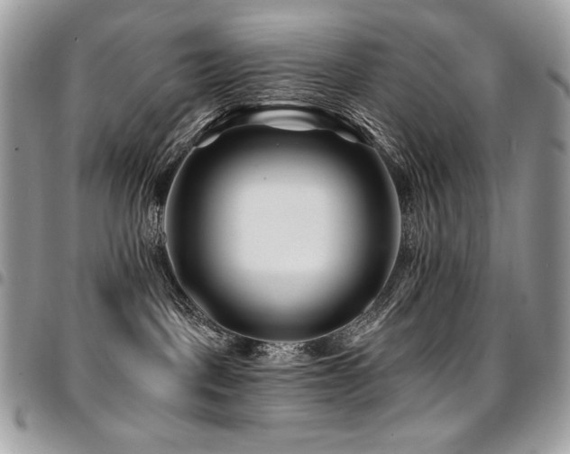 X0000095130093200712071318