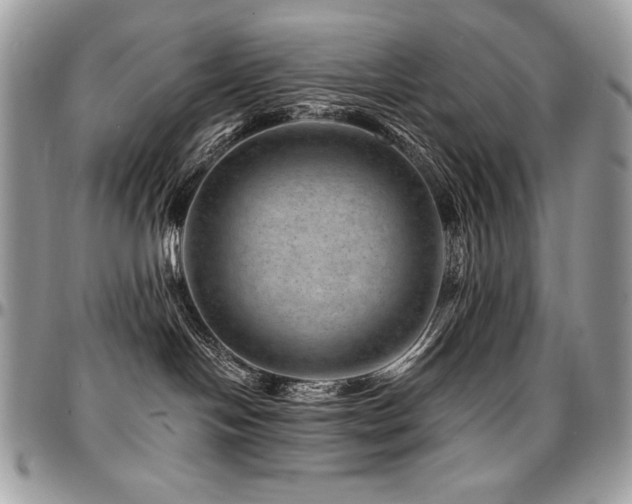 X0000095130094200712071318