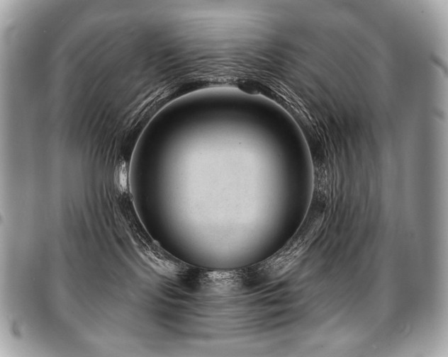 X0000095130095200712071318