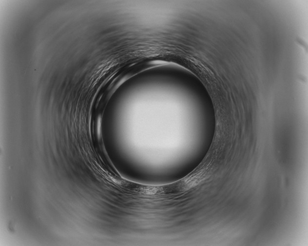 X0000095130096200712071318