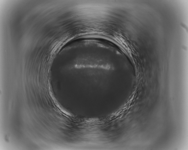 X0000095130097200712071317