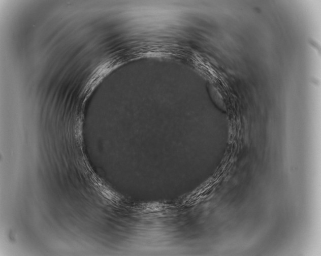 X0000095130098200712071317