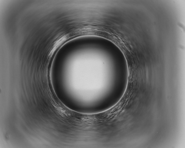 X0000095130099200712071317