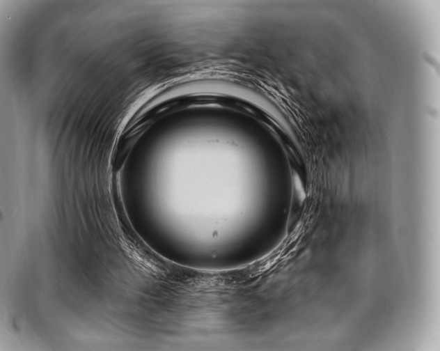 X0000095130100200712071317