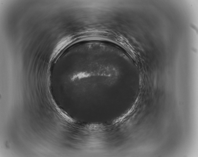 X0000095130101200712071317