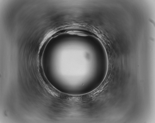 X0000095130102200712071317