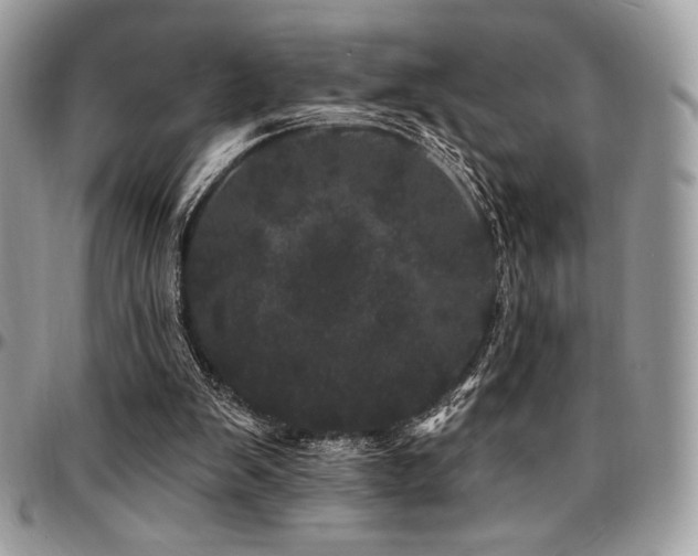 X0000095130103200712071317