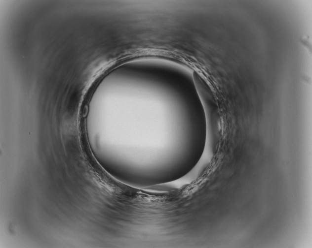 X0000095130104200712071317