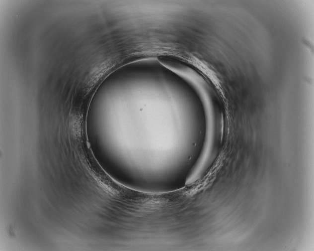 X0000095130105200712071317