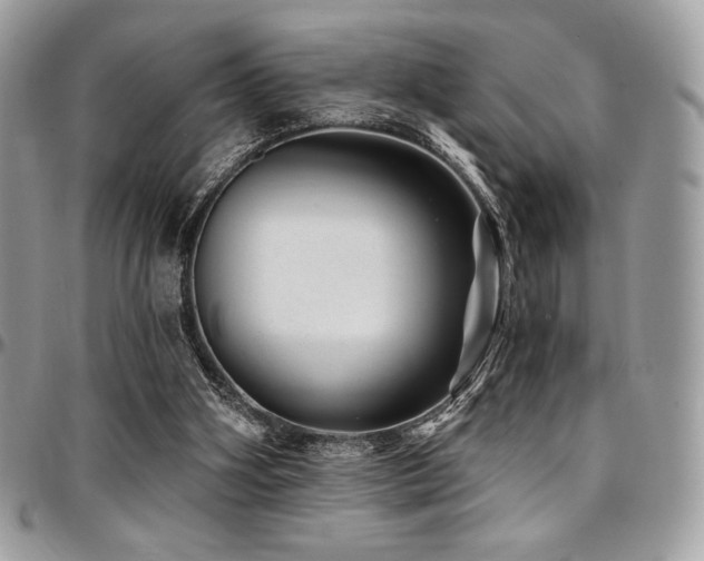 X0000095130106200712071317