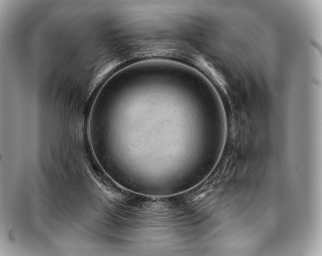 X0000095130107200712071317