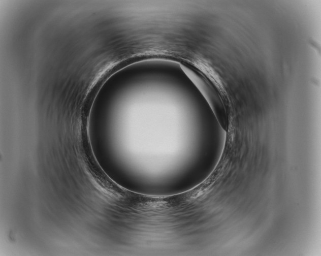 X0000095130108200712071317