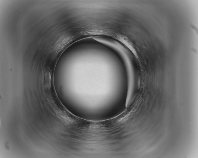 X0000095130109200712071317