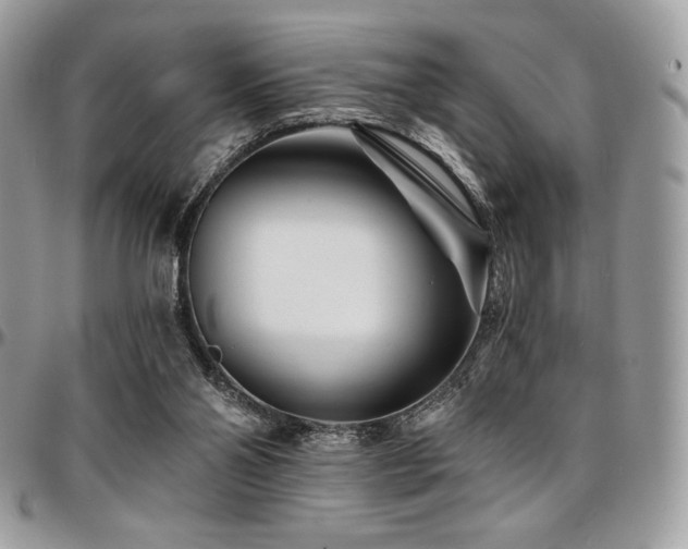 X0000095130110200712071317