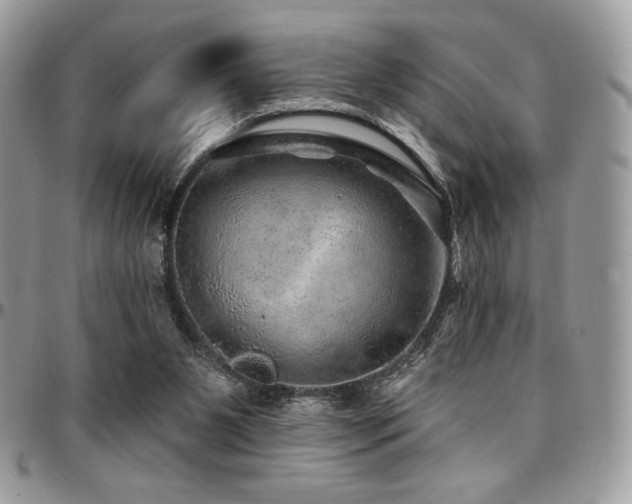 X0000095130111200712071317