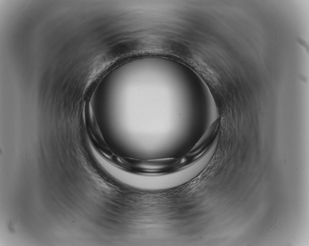 X0000095130112200712071317